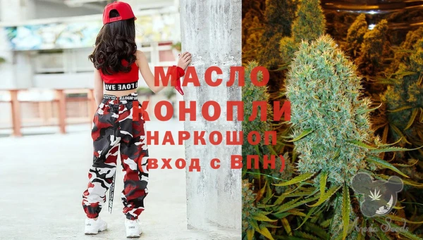 мет Инсар