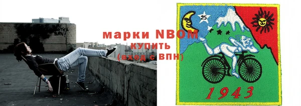 мет Инсар