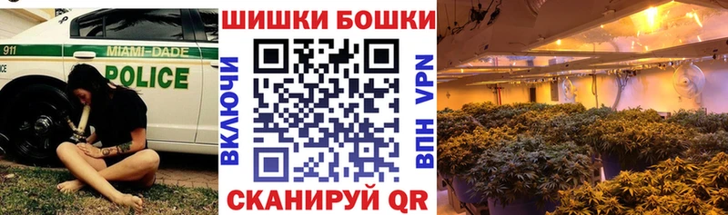 Купить  Ковылкино  Конопля ГИДРОПОН 