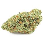 Шишки OG Kush  (Гидропоника, бошки) VHQ в Ковылкино